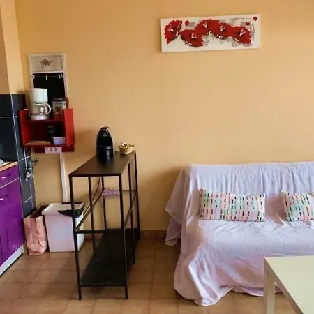 Appartement Studio Cabine Vue Mont Saint Clair 2